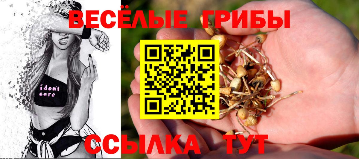 Псилоцибиновые грибы Psilocybine cubensis Ирбит